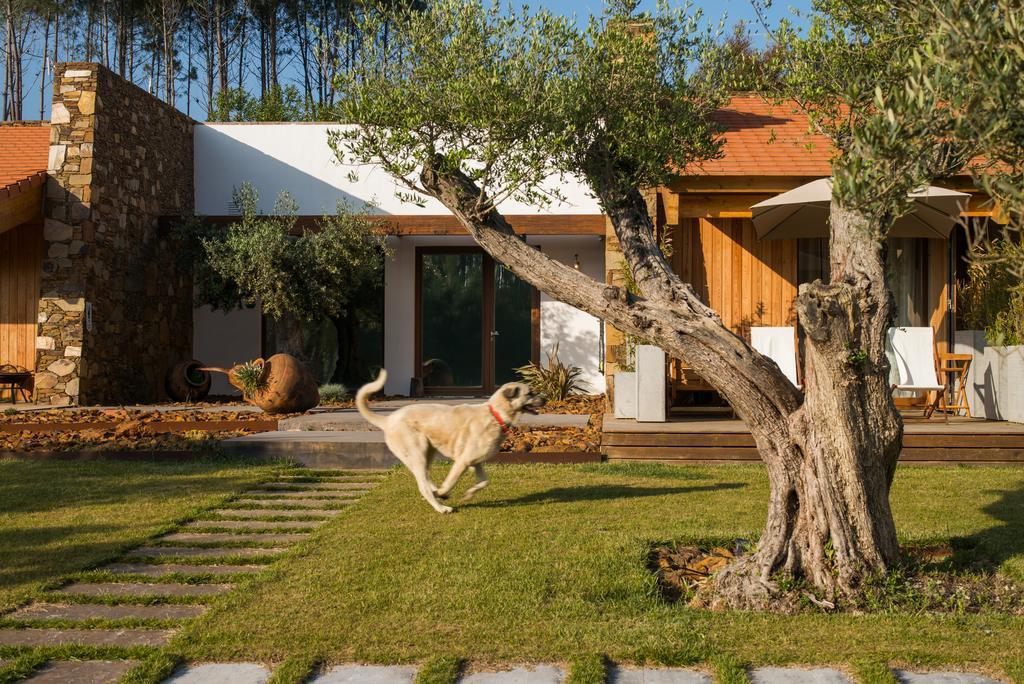 Teima, Alentejo Sw Guest House São Teotónio Eksteriør bilde